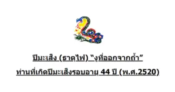 chinese-zodiac-snake-2520