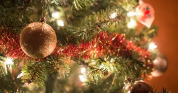 dream-christmas-tree