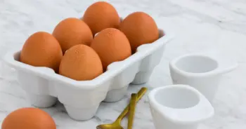 dream-egg