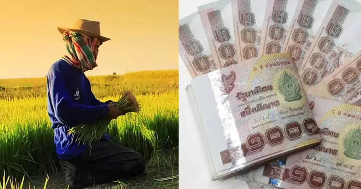 เงินช่วยเหลือชาวนา