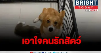 คนรักสัตว์