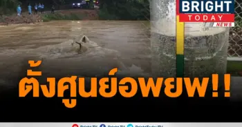 สุราษฎร์ฯ​