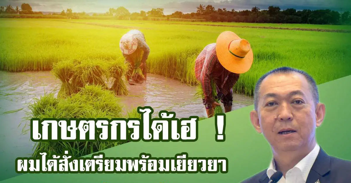 เยียวยาเกษตรกร