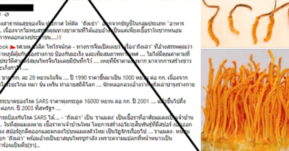 ถั่งเช่า