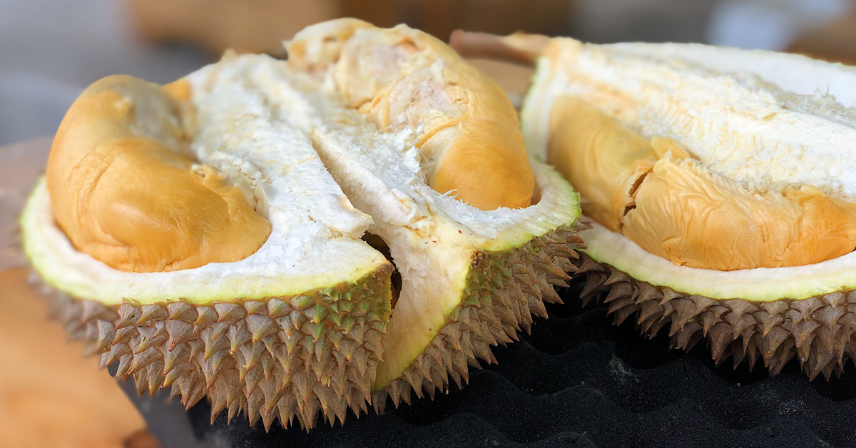 dream-durian
