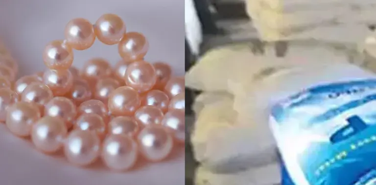 ไข่มุกเมโล
