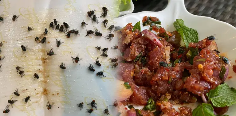 ร้านส้มตำ ปก