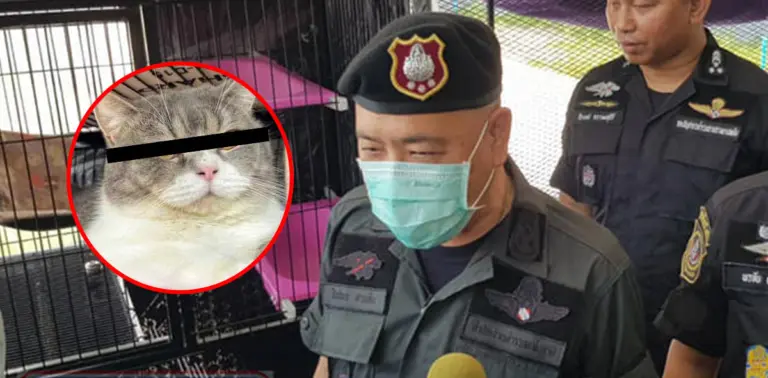 กุ๊ก ระยอง