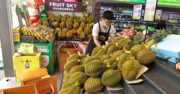 thai-durians-have-good-saleปก