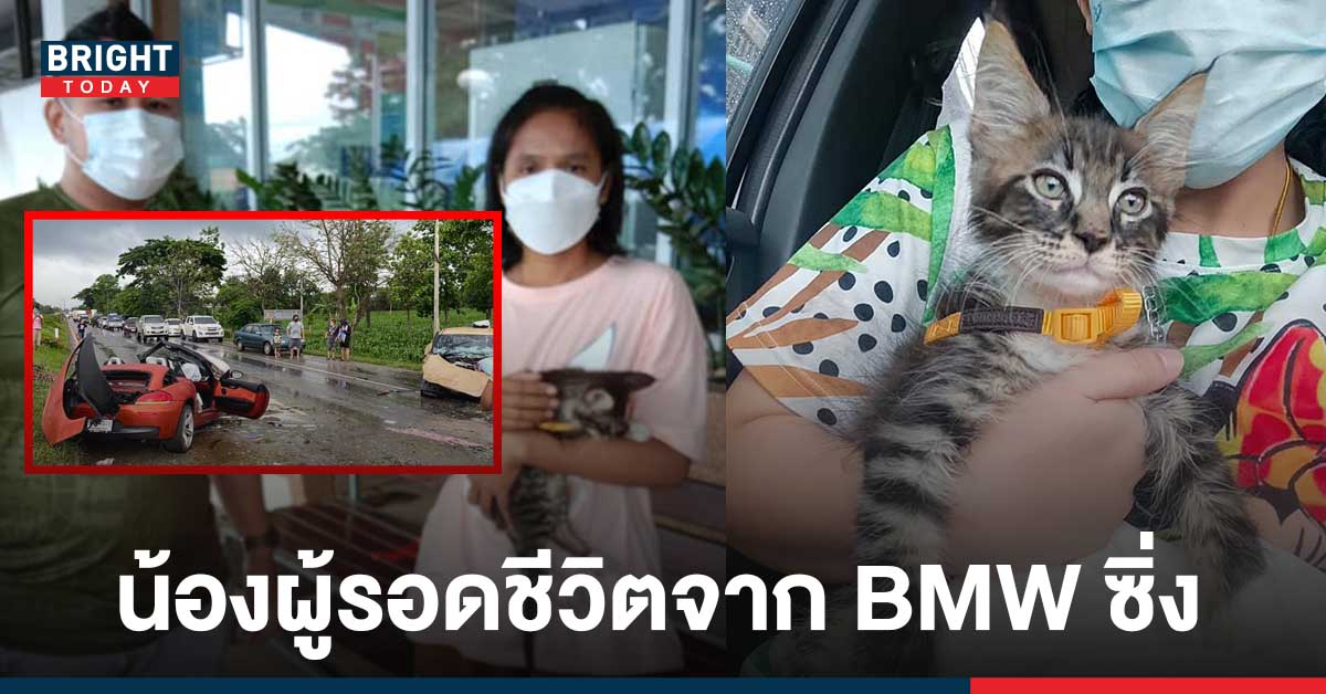 ส่งตัวน้องแมวผู้รอดชีวิตให้ญาติแล้ว หลังเจ้าของถูก BMW ซิ่งชนดับจากไปไม่ได้ร่ำลา