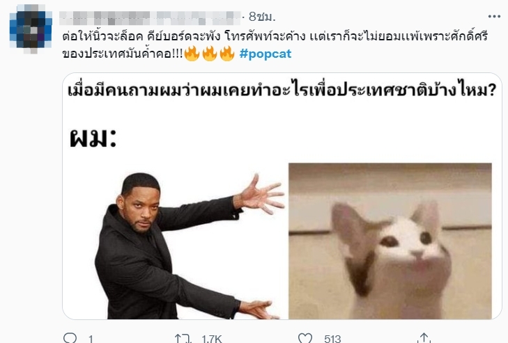 Popcat.click : Updated Pop Cat Meme Clicker App Not Working Down White Screen Black