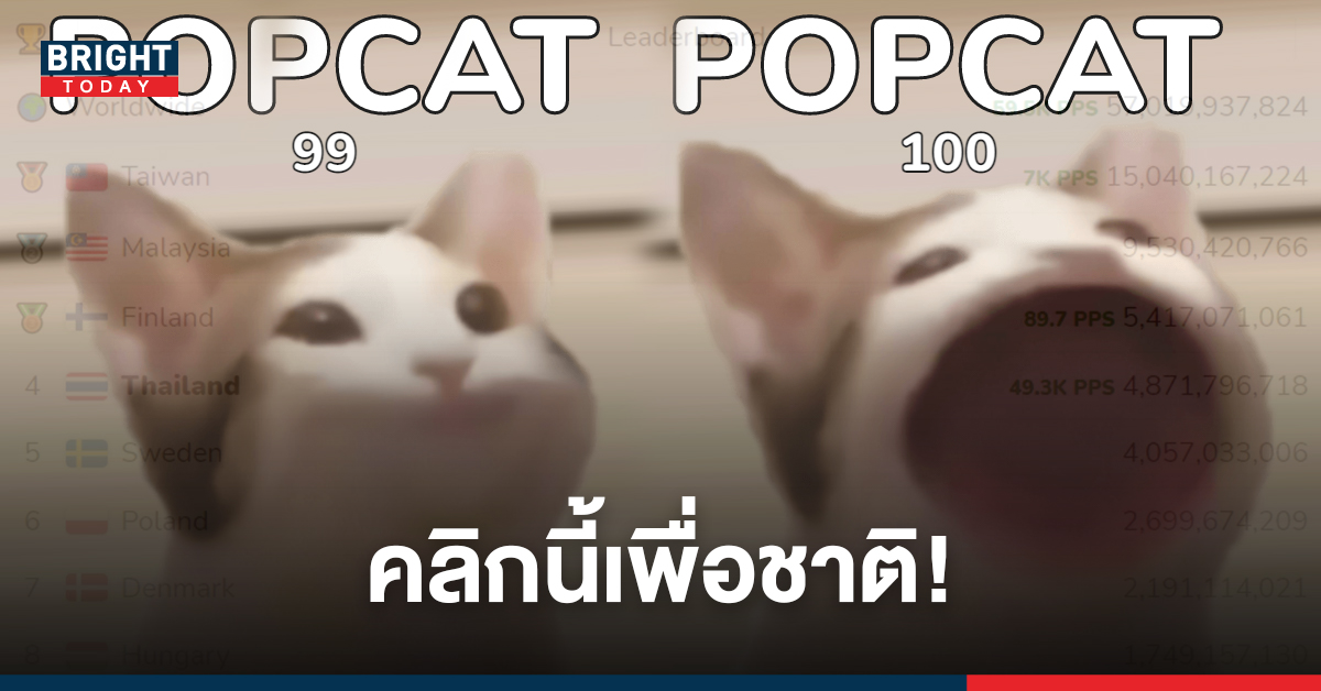 ศึกนี้ต้องได้ชัย! POPCAT การแข่งขันคลิกระดับโลก ที่ชาวเน็ตไทยไม่ได้มาเล่นๆ