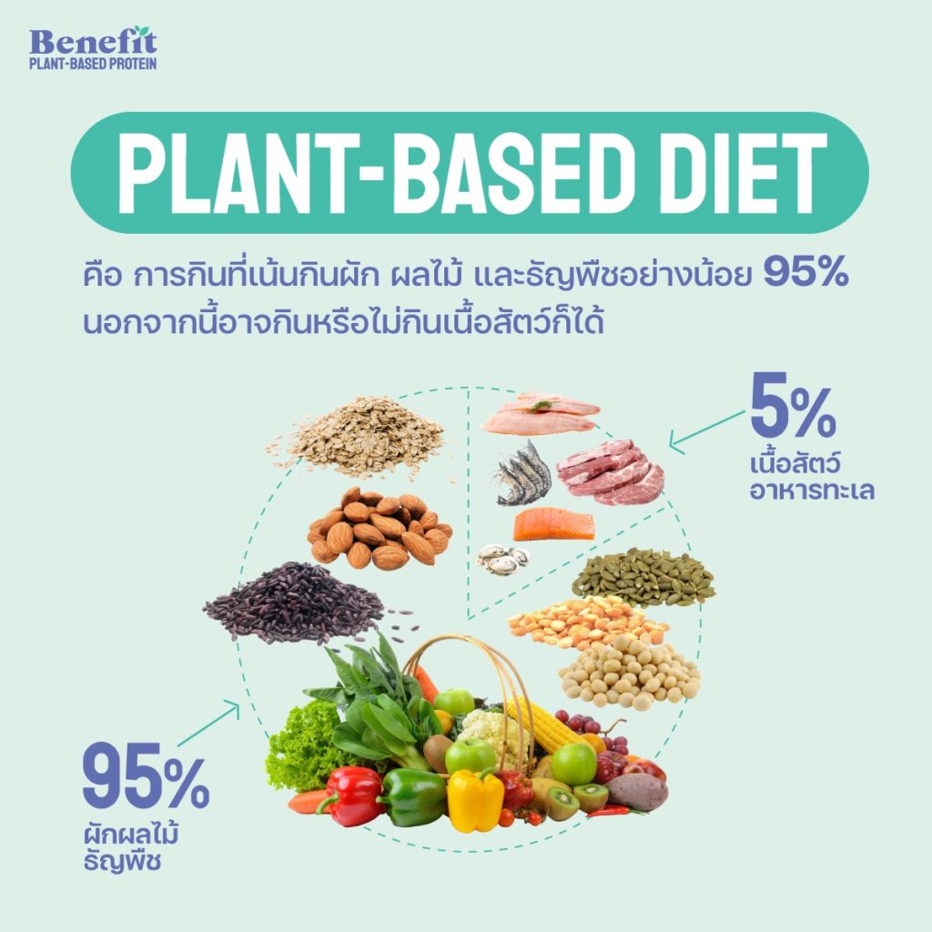 What brand of plant protein is good?
