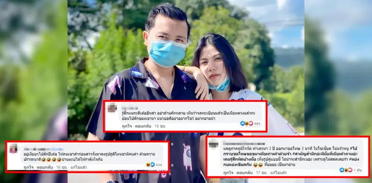 กระต่าย ปก