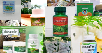 ฟ้าทะลายโจรผิดกฎหมาย ปก