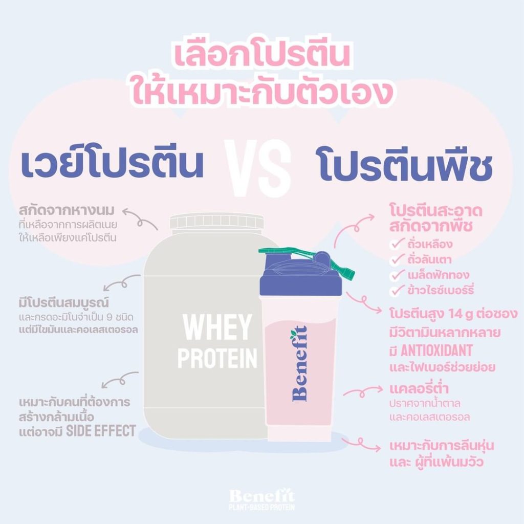 plant protein supplements