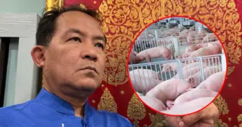 อหิวาต์หมู