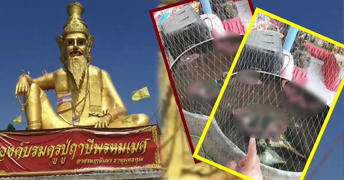 ฤาษ๊