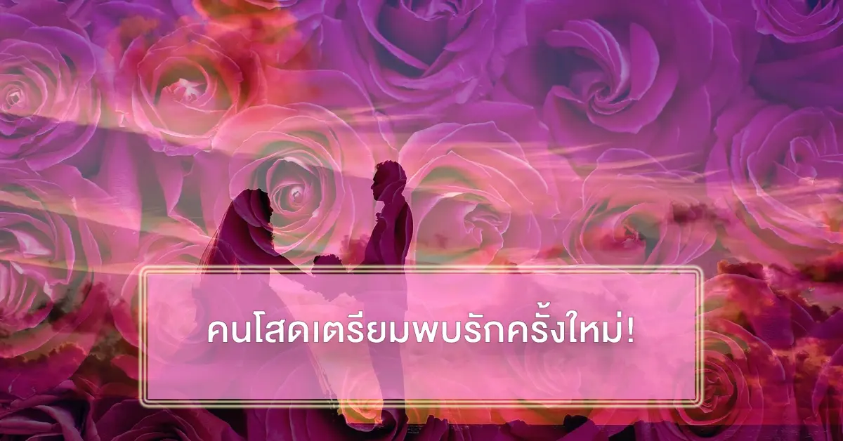 โสด