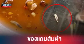 หนอนในส้มตำ