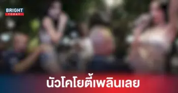 โคโยตี้