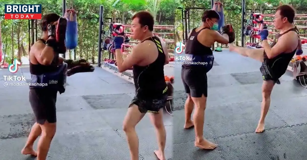 มดดำ