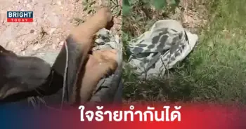จับหมายัดกระสอบ