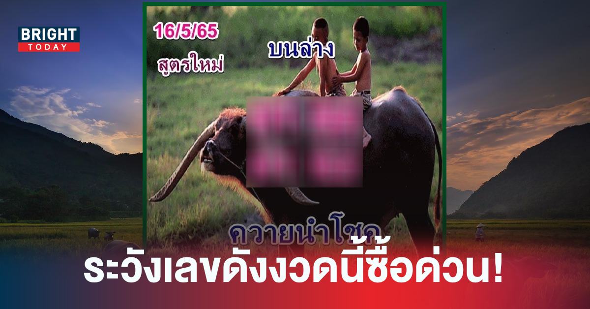 จับตาเลขดัง! หวยรัฐบาลไทย เลขเด็ดงวดนี้ หวยควายนำโชค 16/05/65 เน้น 6 -5