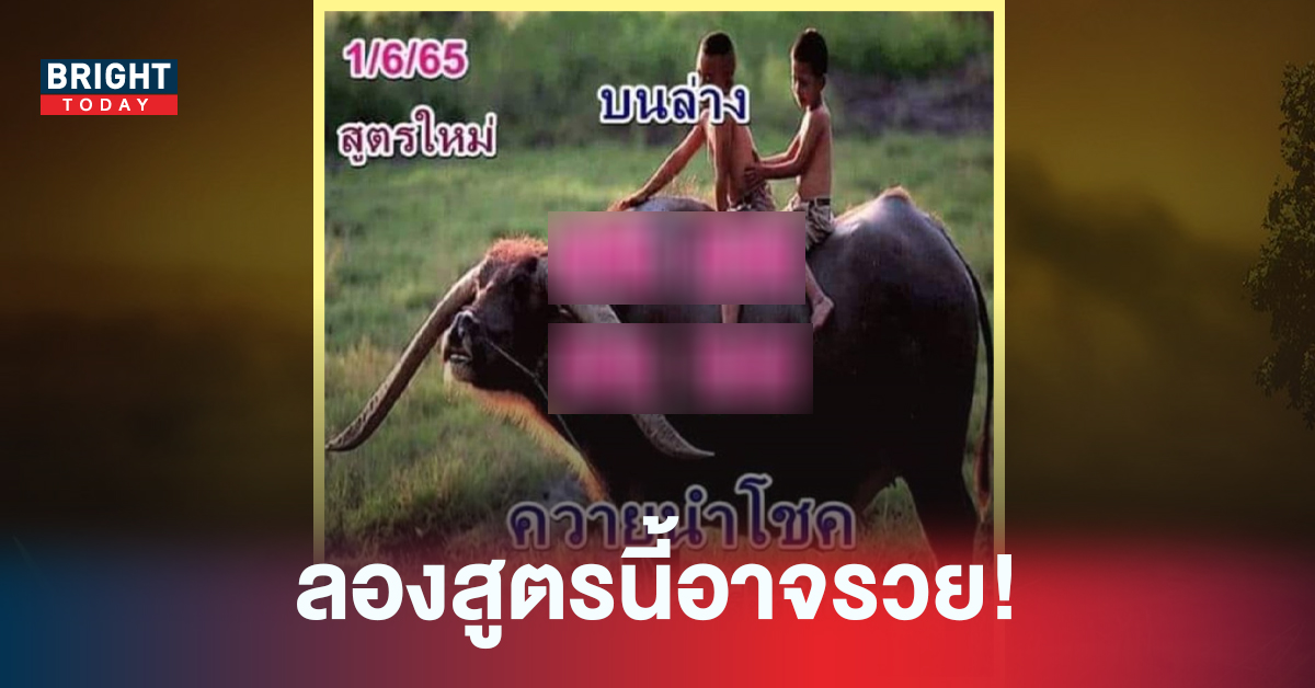 ลองสูตรนี้! หวยรัฐบาลไทย หวยควายนำโชค 01/06/65 เสี่ยงเลขเก่าในงวดใหม่
