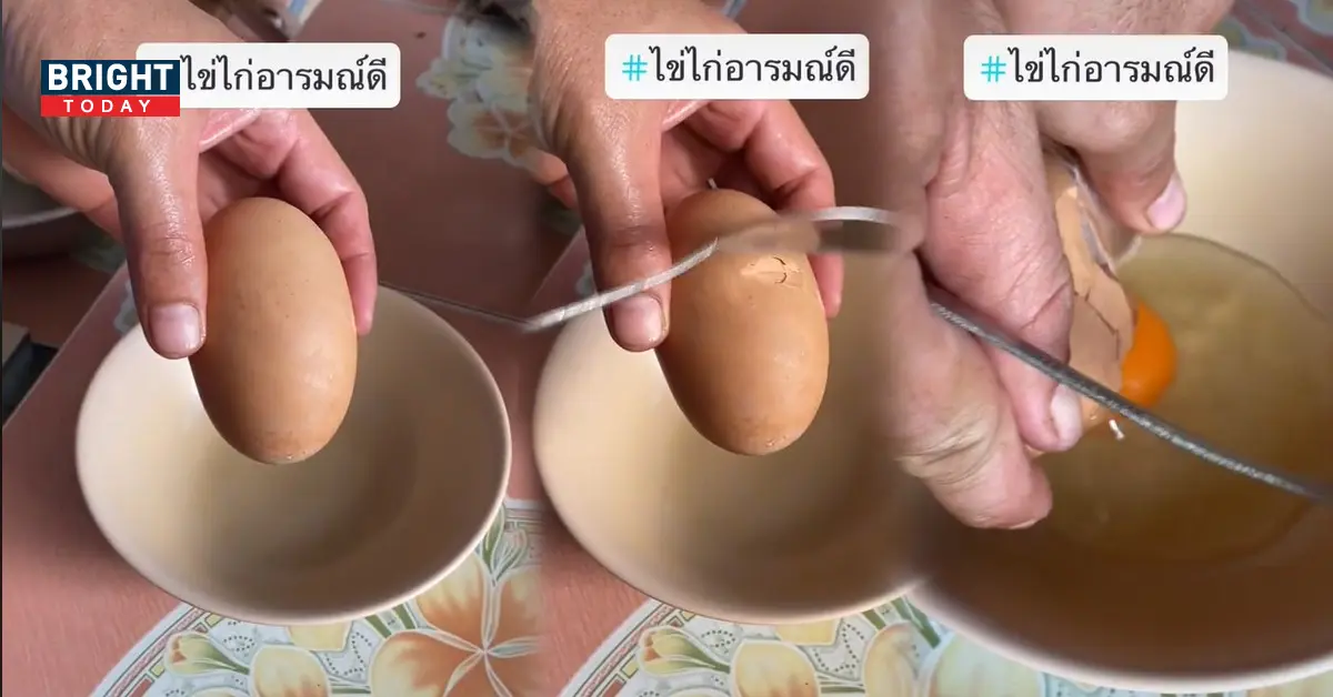 ไข่ไก่
