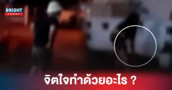 ท่อนเหล็กทุบหมา