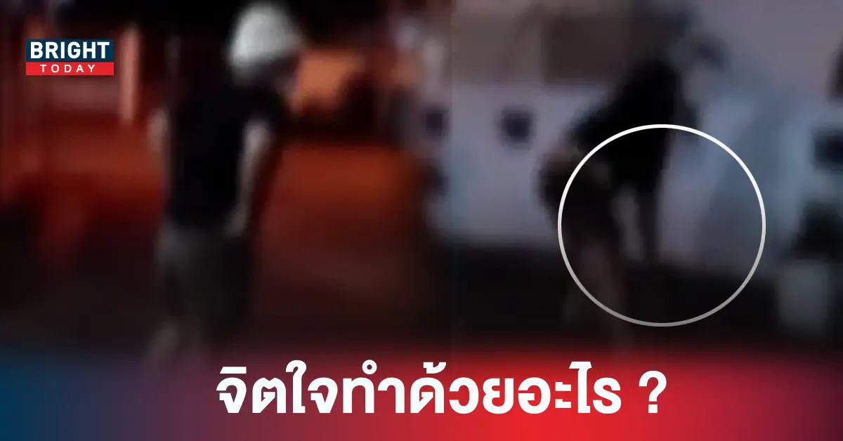 ท่อนเหล็กทุบหมา