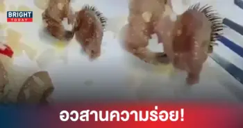 ขน อาหาร