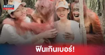 ลิง ผู้หญิง