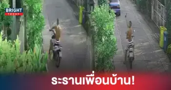 ปาของใส่บ้าน