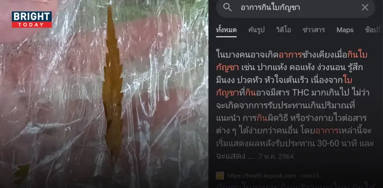 เมนูมีกัญชาผสม