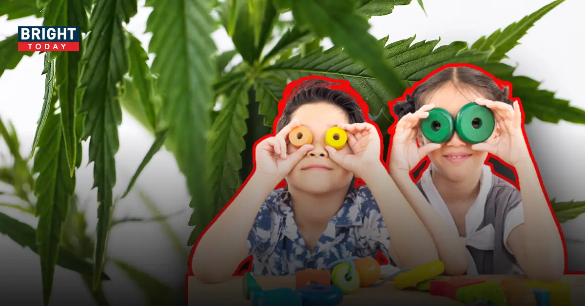 กัญชา