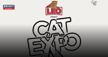 CAT EXPO 9