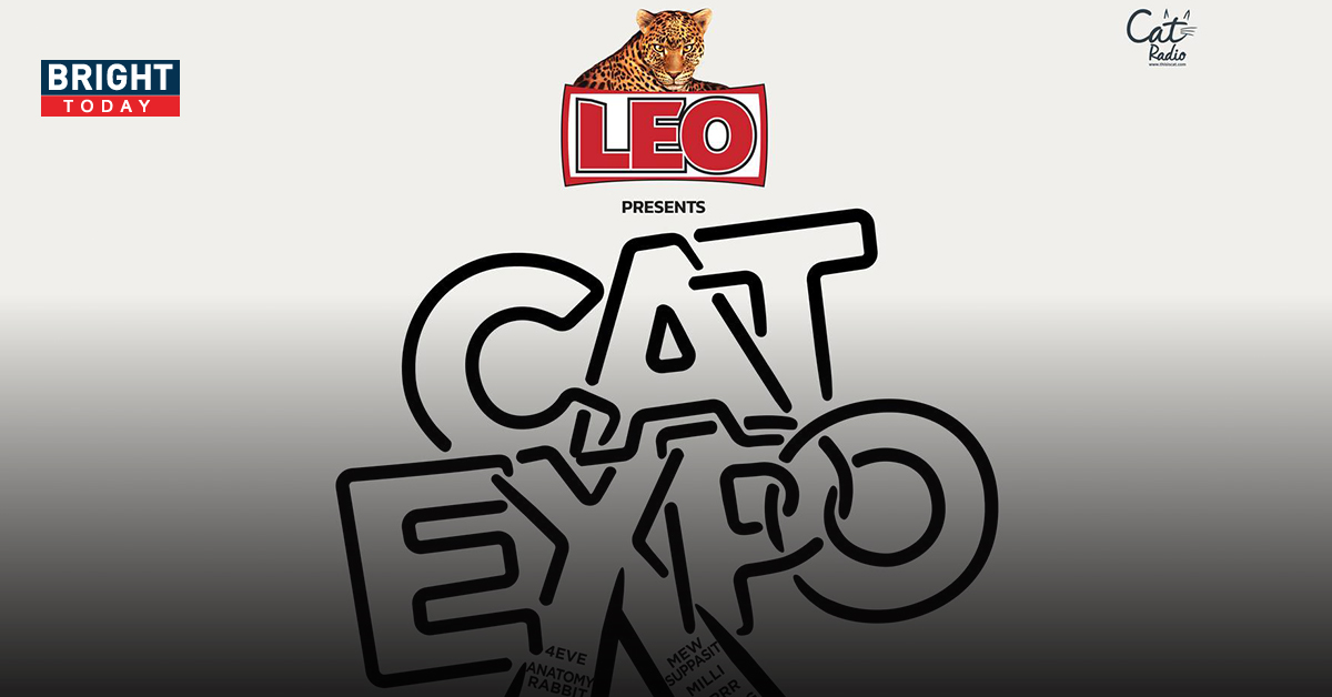 CAT EXPO 9