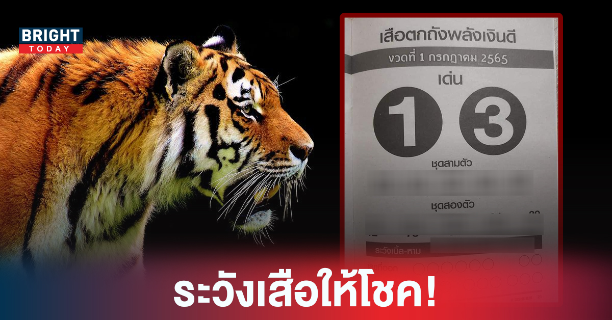 งวดนี้เด่น 1 – 3 หวยรัฐบาลไทย เสือตกถังพลังดี 1 7 65 จัดเต็มชุดสามสองตัวตรง