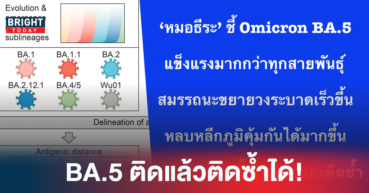 โอมิครอน BA.5 แข็งแรงกว่าทุกสายพันธุ์ ระบาดเร็วขึ้น ติดง่ายทั้งติดใหม่และติดซ้ำ