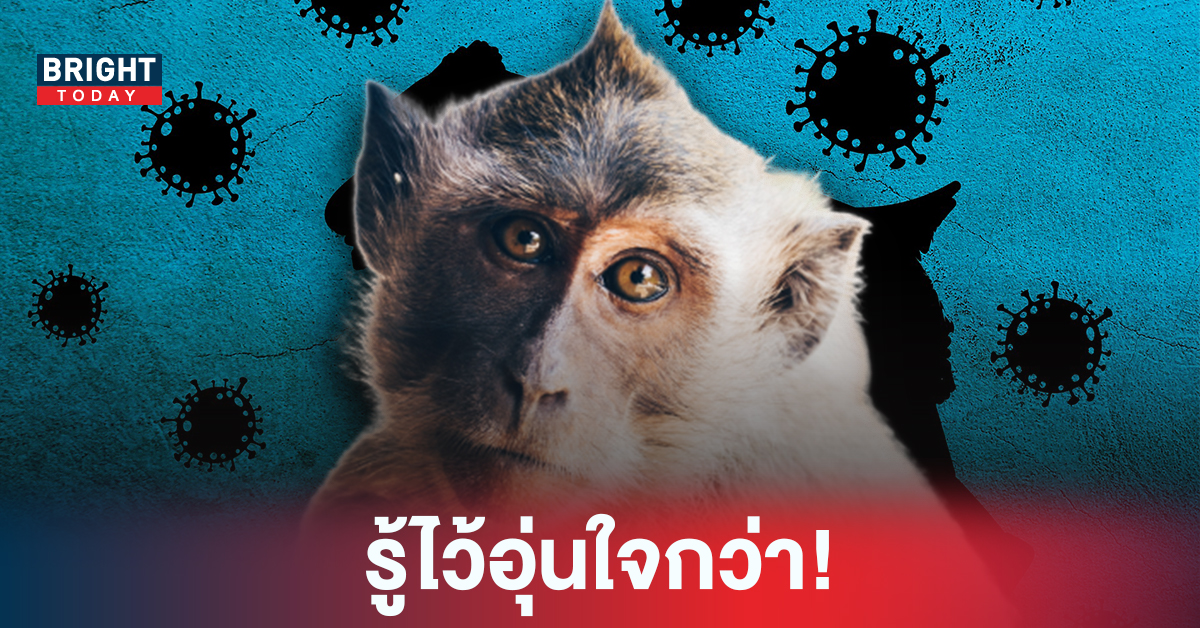 รู้ไว้โดยด่วน! วิธีสังเกตอาการ “ฝีดาษลิง” และการป้องกัน