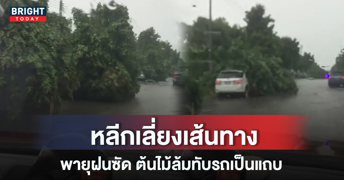 ถนนตัดใหม่ วัชรพล ไม่จำเป็นอย่าผ่าน ฝนตกต้นไม้ล้มทับรถเป็นแถบ เสียหายหลายคัน