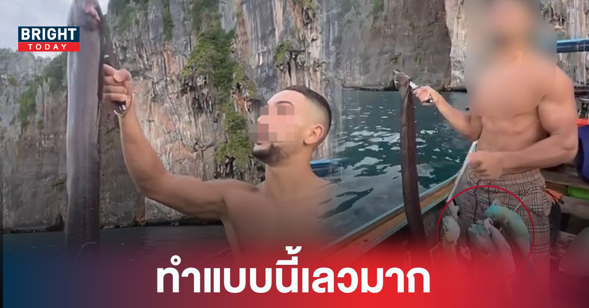 เปิดโทษ! ไอ้หรั่งยิง ปลานกแก้ว ปลาไหลมอเรย์ เกาะพีพี แบบนี้มันเย้ยกฎหมายไทย
