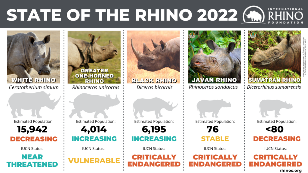 World-Rhino-Day-2022 horiz-4-1024x576-1