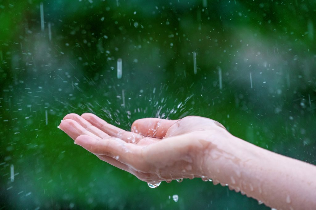 close-up-wet-female-hands-rain