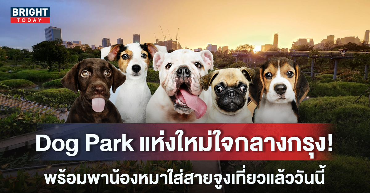 เปิดพิกัด! Dog Park แห่งใหม่ ใจกลางกรุงเทพฯ พร้อมพาน้องหมาเที่ยว