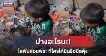 หนุ่มน้อยเซียนพระ