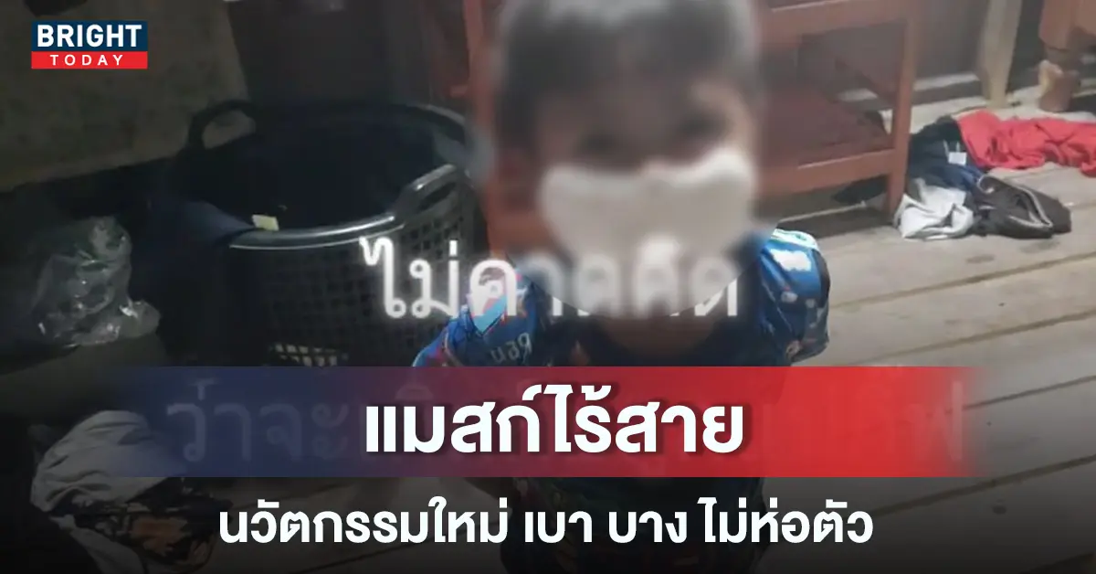 แมสก์ไร้สาย