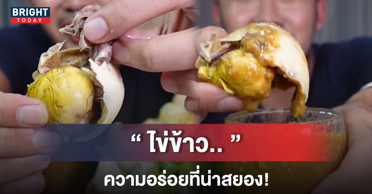 เปิปพิศดาร! ไข่ข้าว เมนูสุดแปลกของไข่ค้างรัง อร่อยหรือสยองกันแน่?